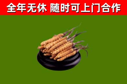 吉利区烟酒回收冬虫夏草.jpg